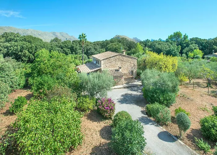 Owl Xino - 10 Min Walk To The Old Town Villa